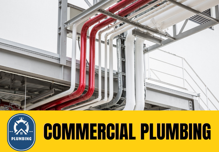 commercial plumbing Welling