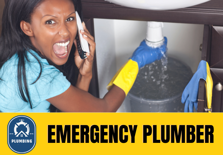 emergency plumber Welling